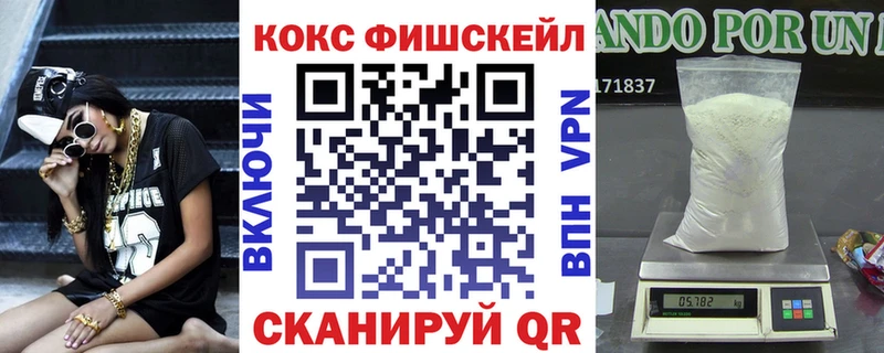 Cocaine FishScale  сколько стоит  Заволжье 