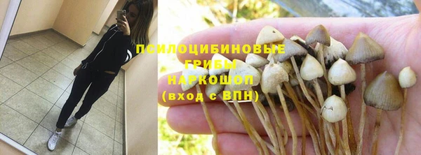 ГАЛЛЮЦИНОГЕННЫЕ ГРИБЫ Баксан