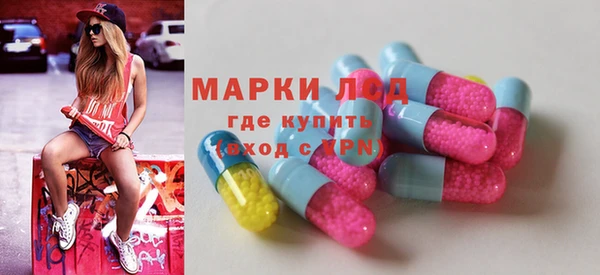 ГАЛЛЮЦИНОГЕННЫЕ ГРИБЫ Баксан