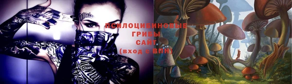 гидропоника Балахна