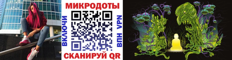 Псилоцибиновые грибы прущие грибы Заволжье